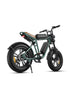 ENGWE M20 1000W (pico) 28 MPH Bicicleta eléctrica de largo alcance con suspensión dual